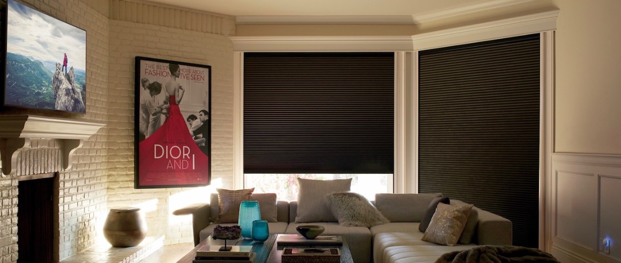Media Room Blinds Shades Blind Ideas Grand Rapids Mi